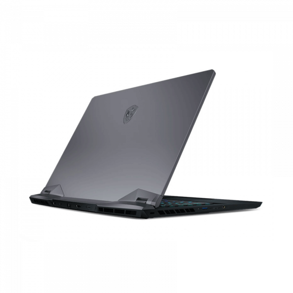 Laptop MSI Gaming GE66 Raider (11UG-210VN)
