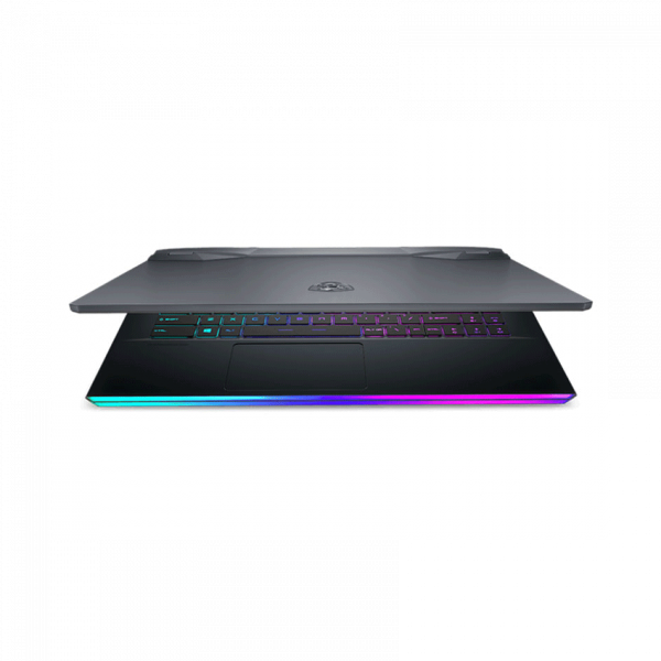 Laptop MSI Gaming GE66 Raider (11UG-210VN)